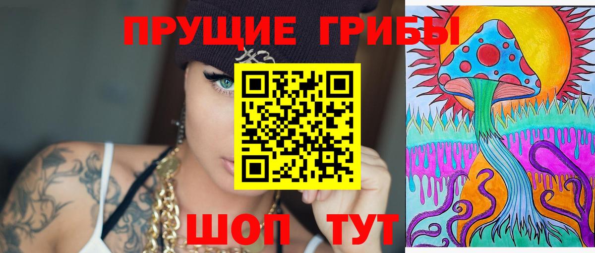 Псилоцибиновые грибы прущие грибы  Вход с VPN  Шатура  Псилоцибиновые грибы Psilocybe 