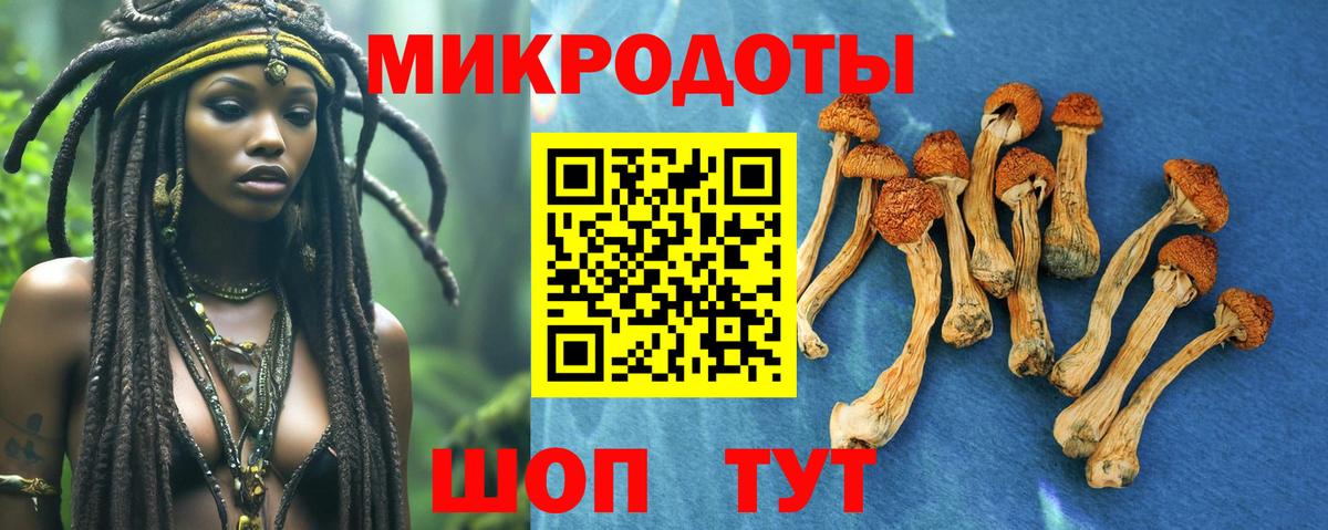 Галлюциногенные грибы MAGIC MUSHROOMS Шатура